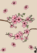 Sakura Blossom
